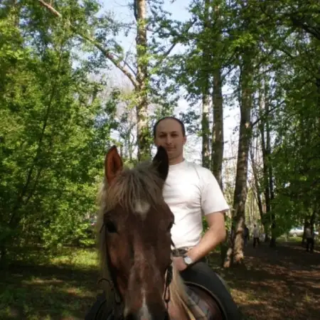 Дзаур, 41Россия