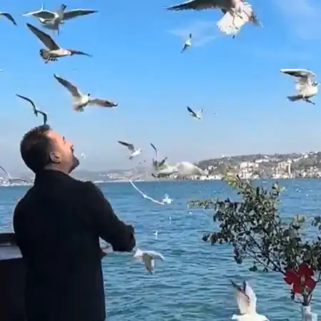 Yusuf