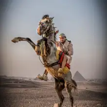 Фото Mahmoud 4 