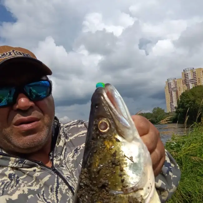 Шухратбек, 50, Екатеринбург, Россия